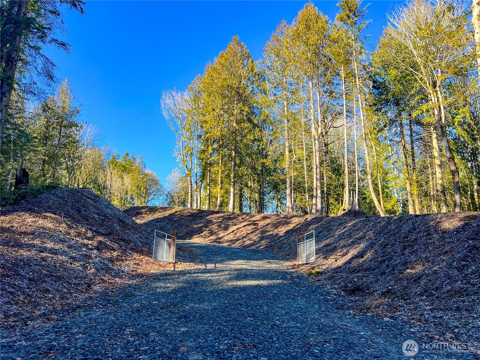 2998 Oak Bay Road Property Photo 3