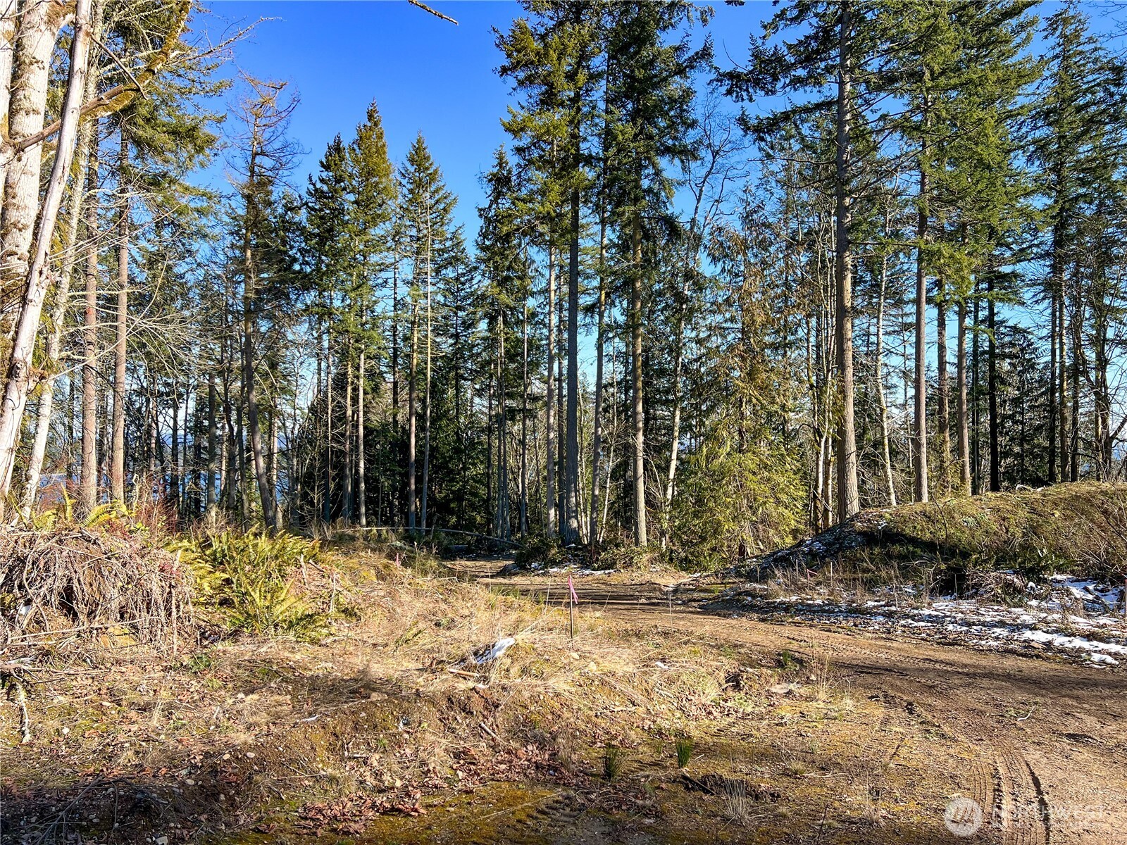 2998 Oak Bay Road Property Photo 7