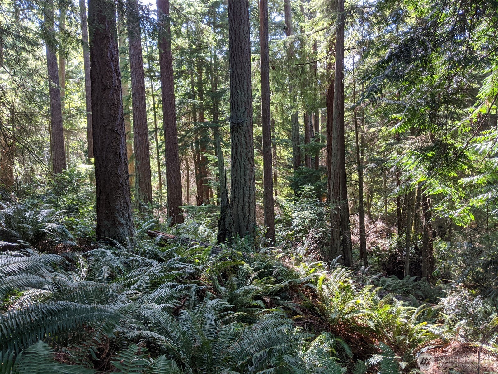 2998 Oak Bay Road Property Photo 8