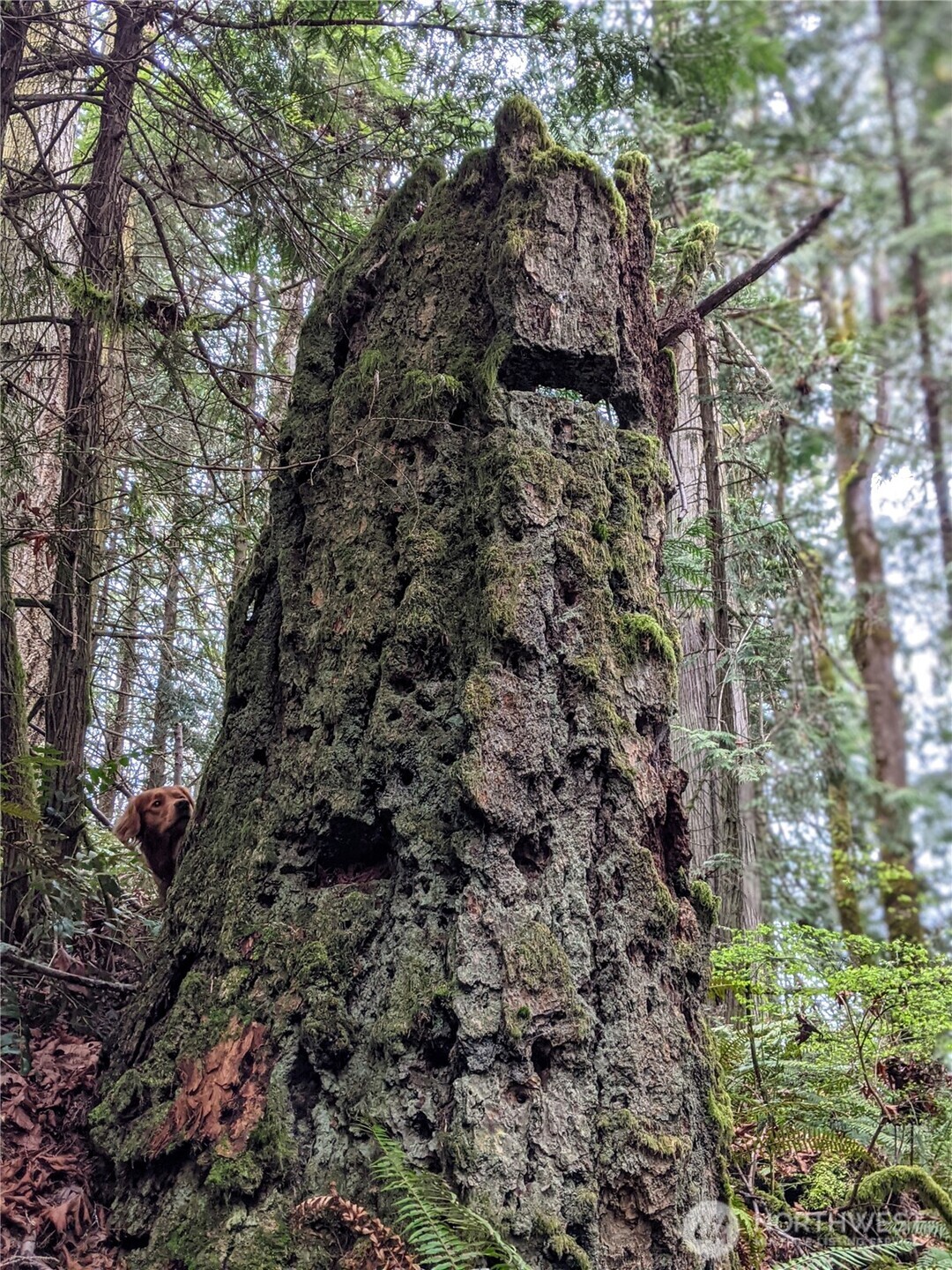 2998 Oak Bay Road Property Photo 10