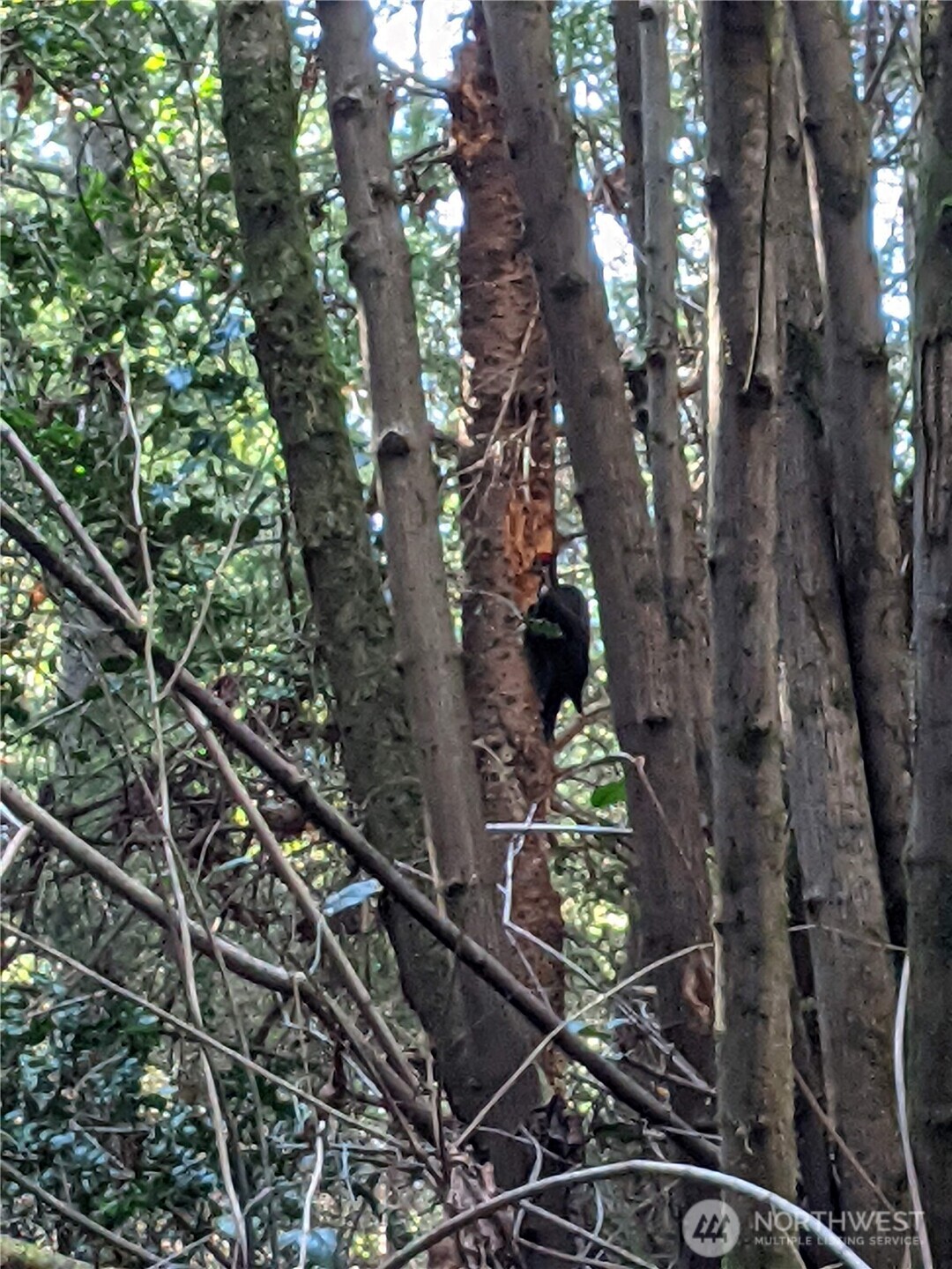 2998 Oak Bay Road Property Photo 11