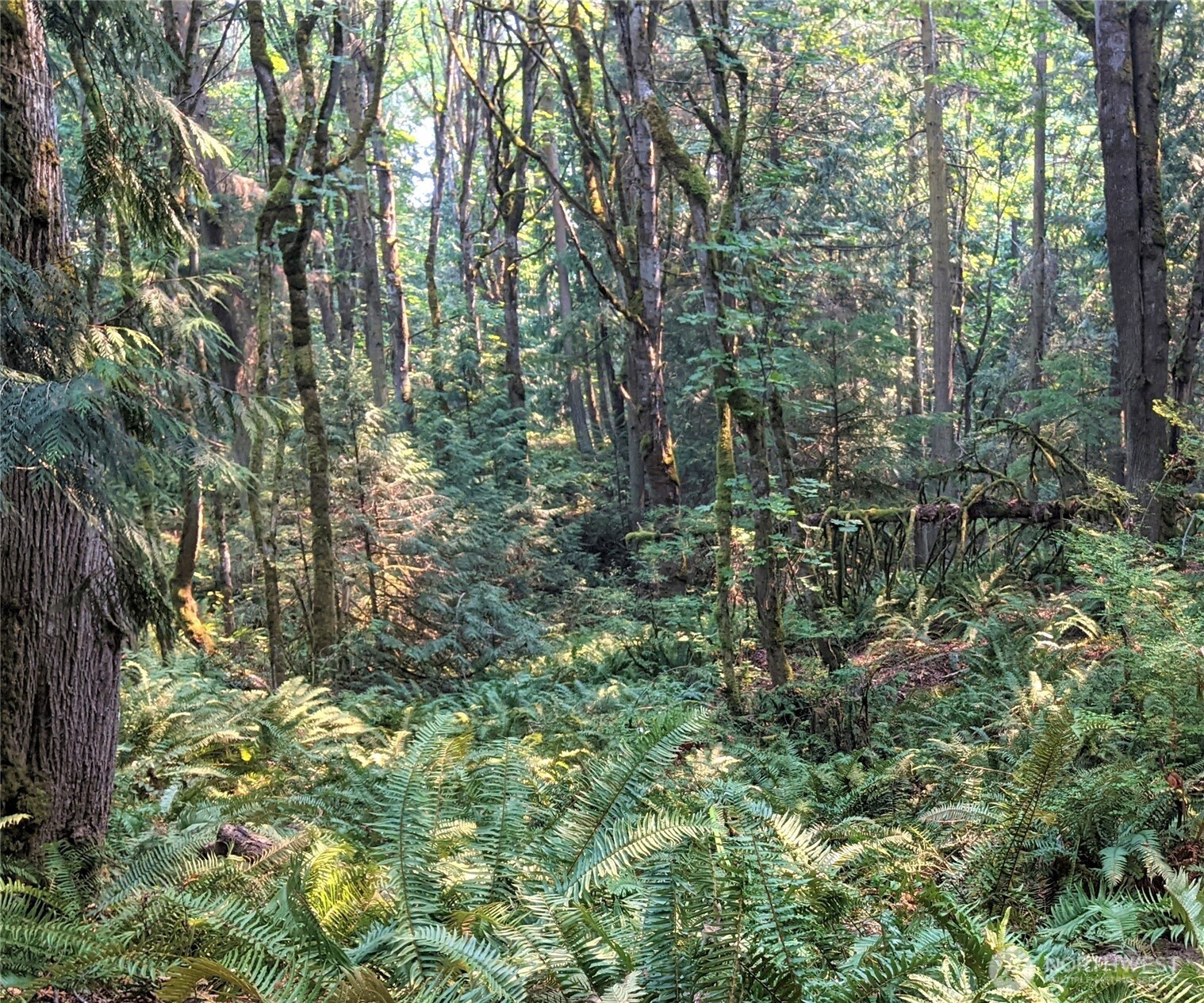 2998 Oak Bay Road Property Photo 16