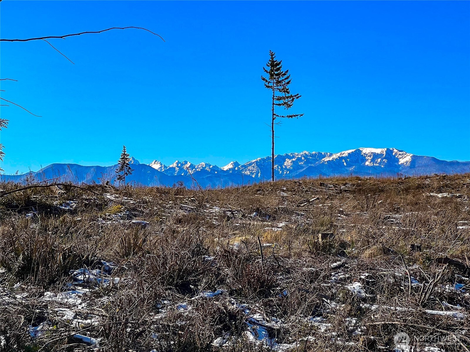 2998 Oak Bay Road Property Photo 17