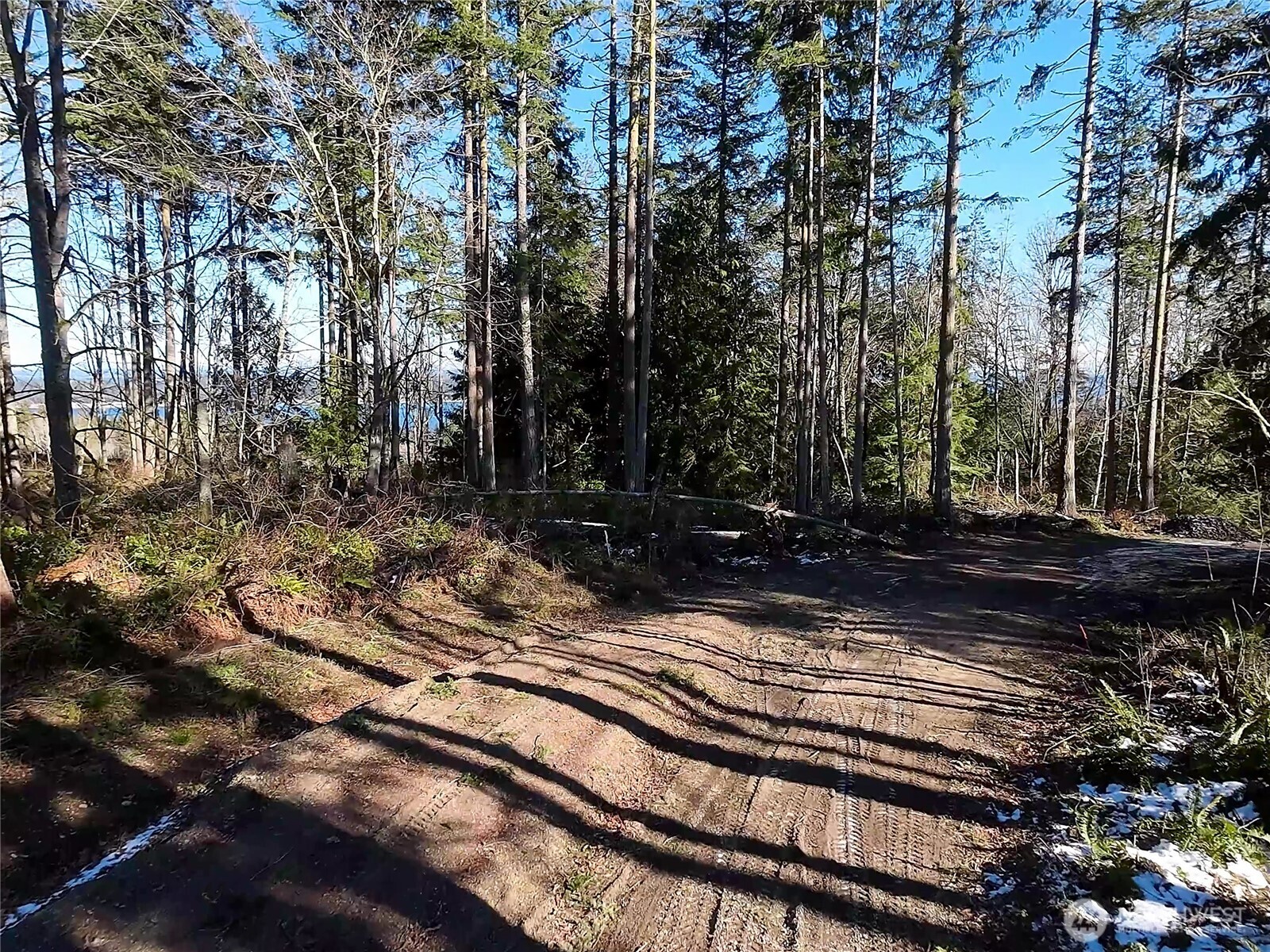 2998 Oak Bay Road Property Photo 21