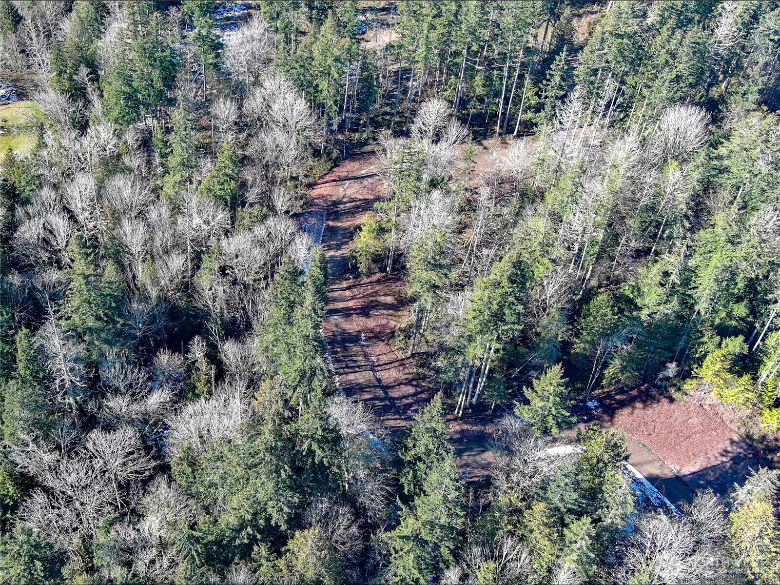 2998 Oak Bay Road Property Photo 25