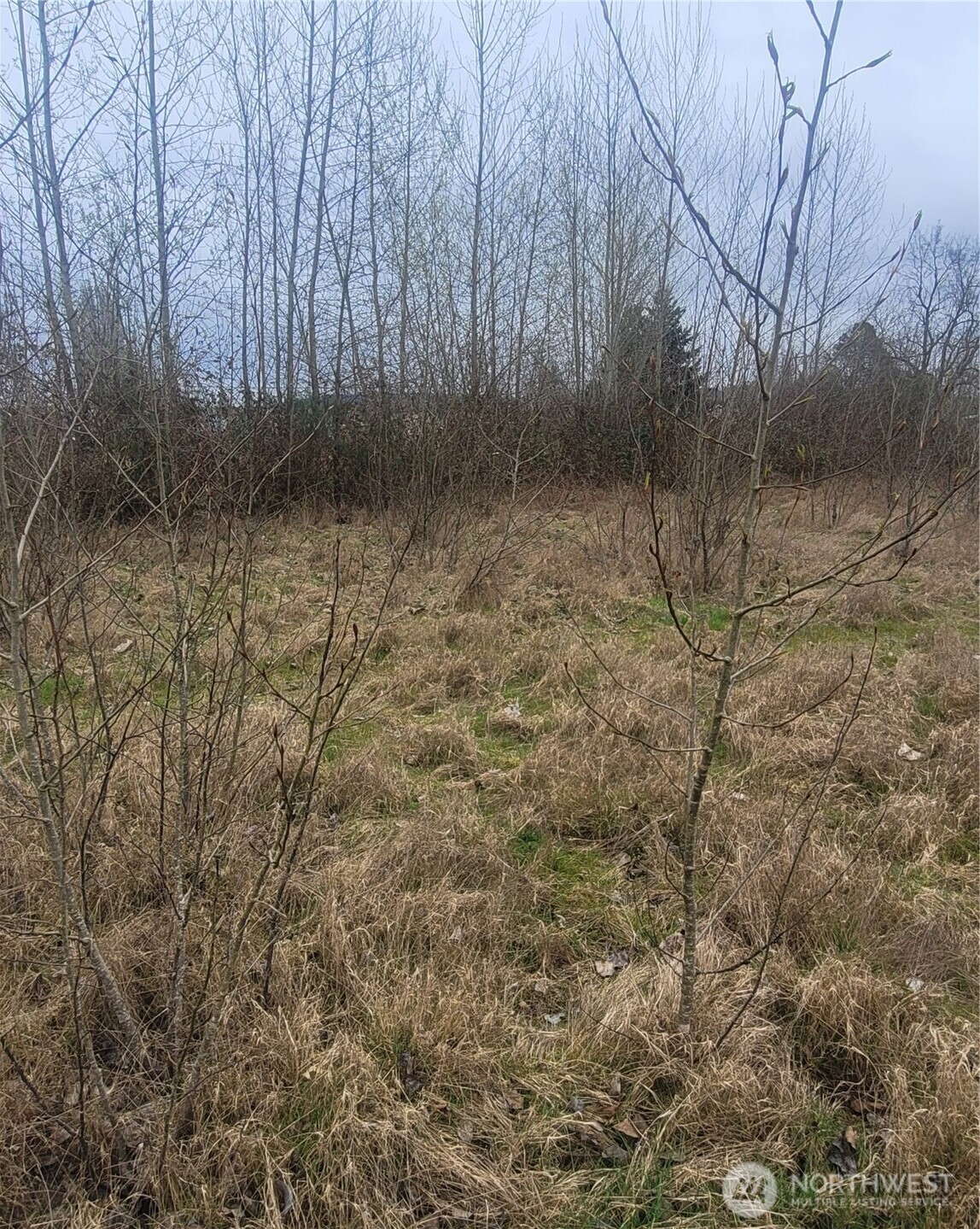 316 3rd Avenue Property Photo 3