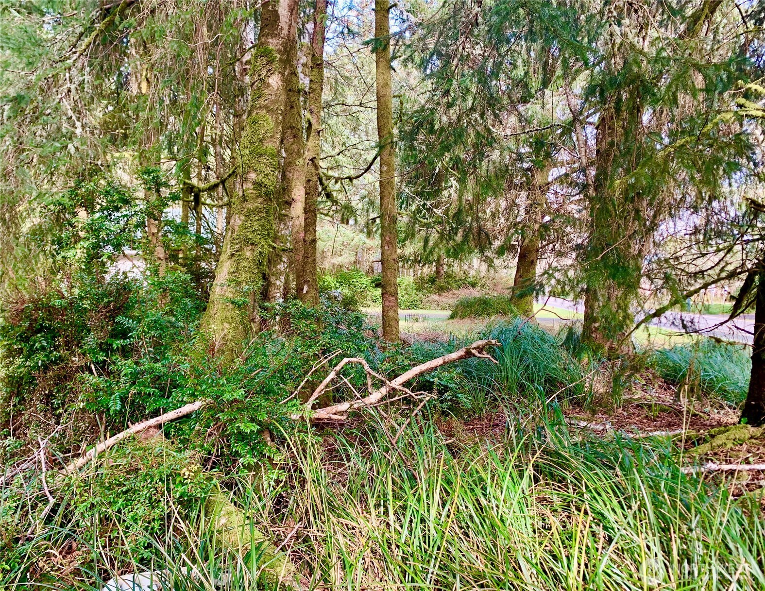 387 Duck Lake Drive Property Photo 4