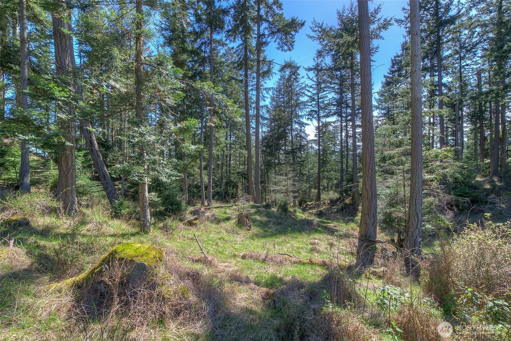 23 Tsuga Lane Property Photo 11