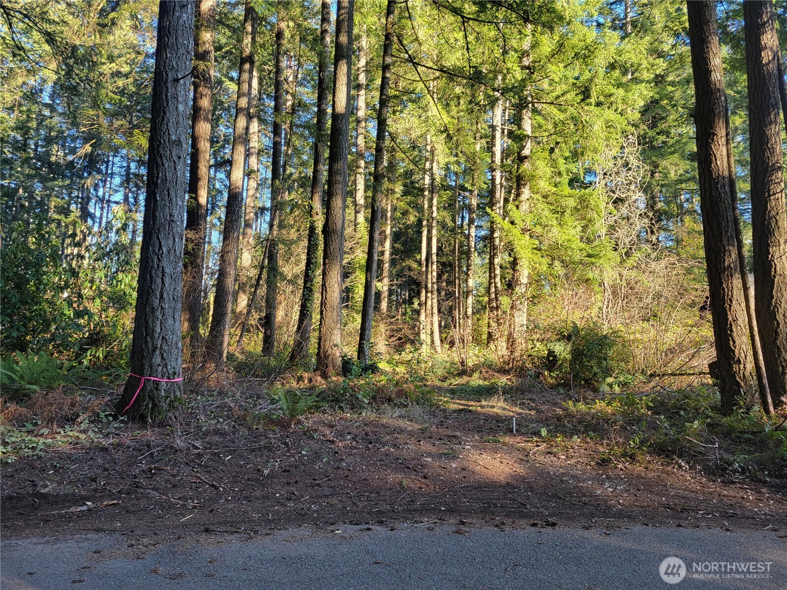 13807 Pinehurst Lane Property Photo