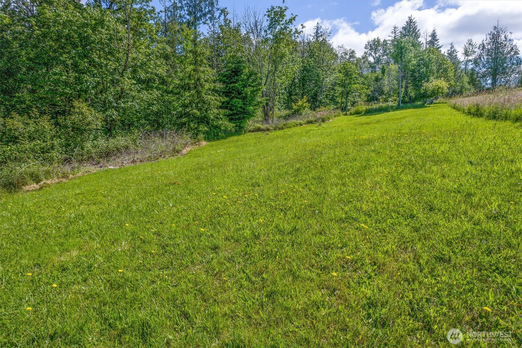 0 Grimm Rd. Property Photo 4