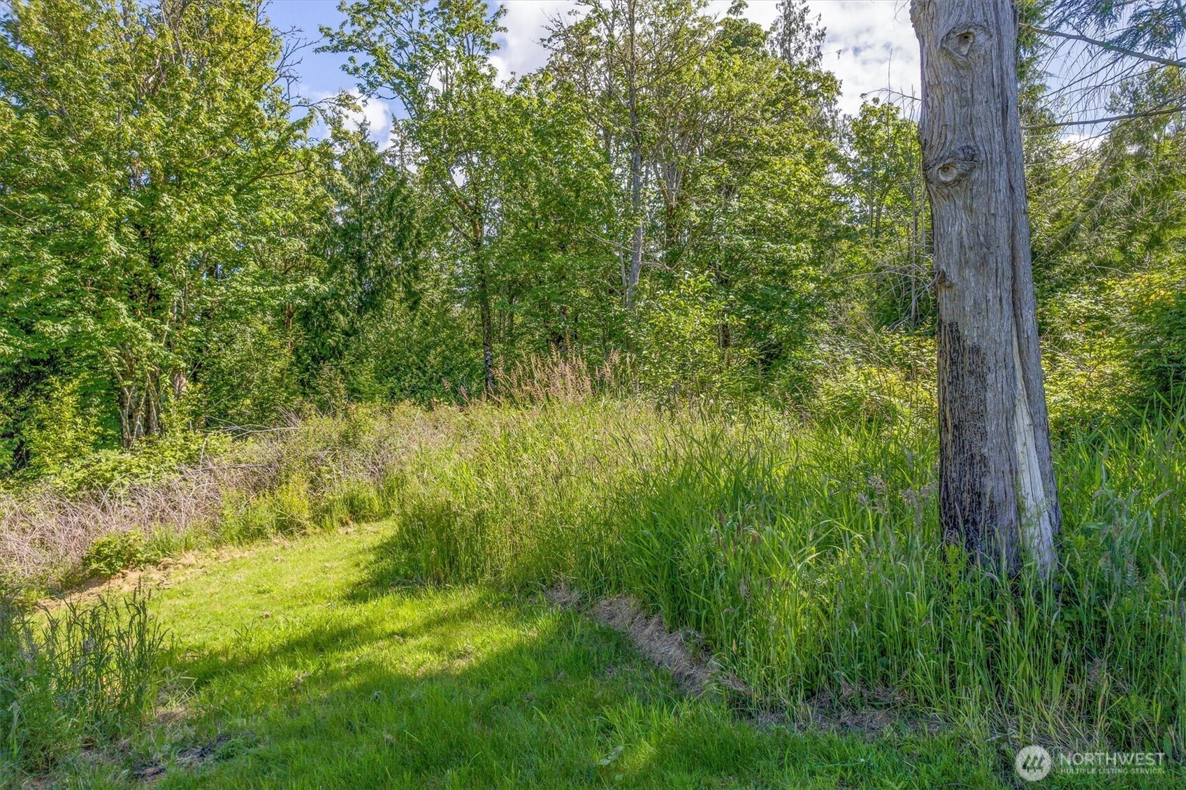 0 Grimm Rd. Property Photo 5