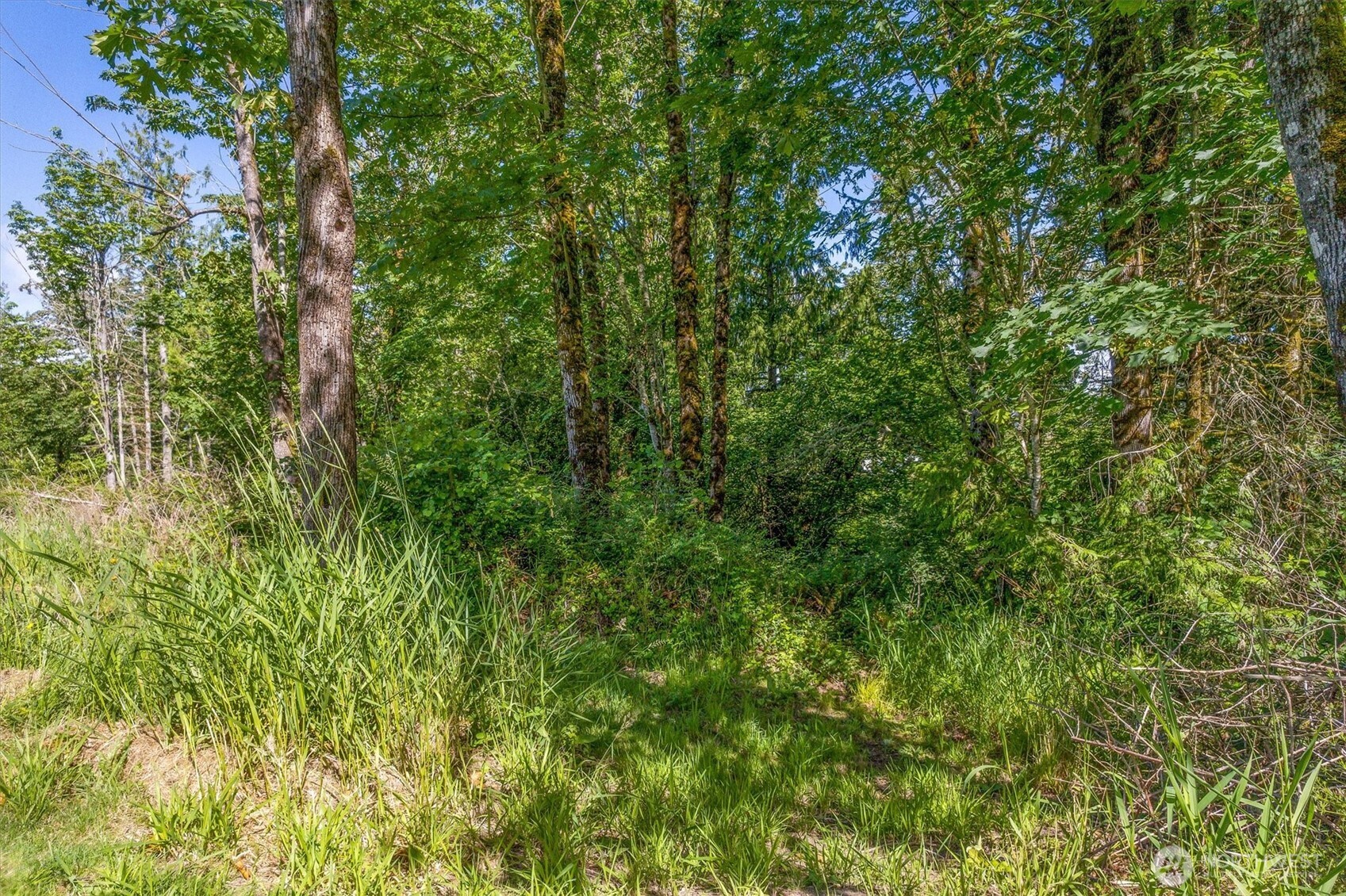 0 Grimm Rd. Property Photo 11