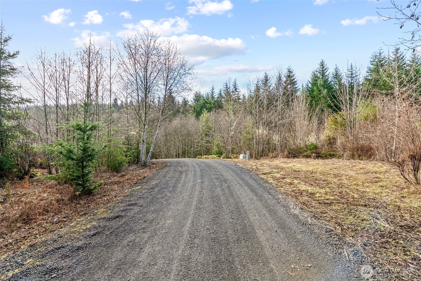 213 Sudden Valley Drive Property Photo 4