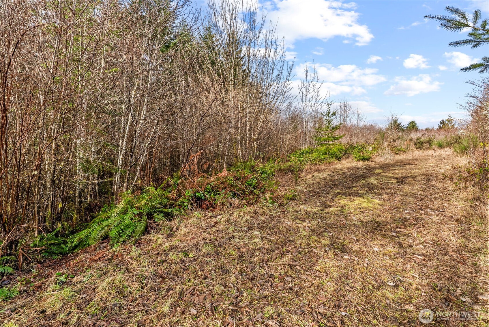 213 Sudden Valley Drive Property Photo 6