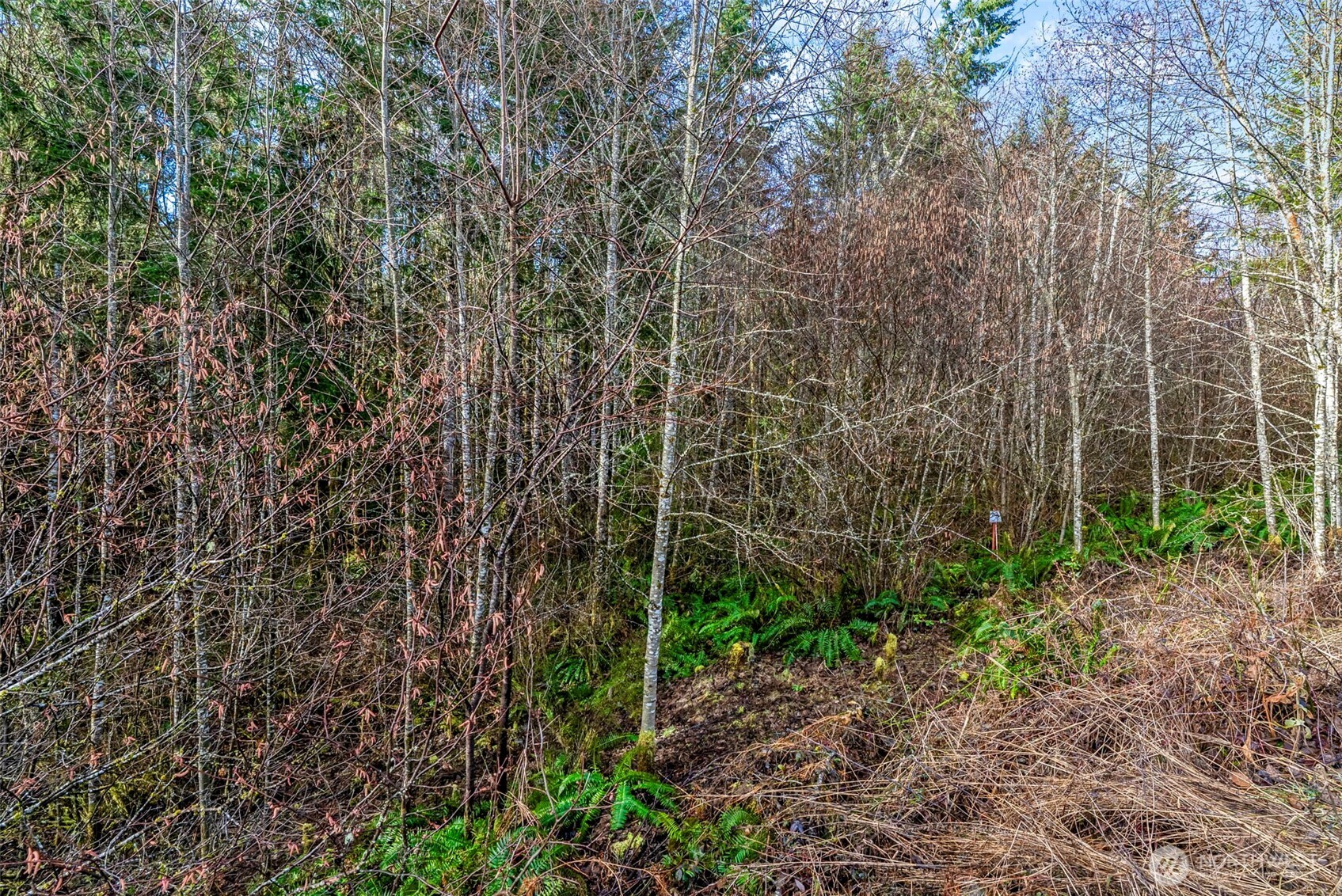 213 Sudden Valley Drive Property Photo 10