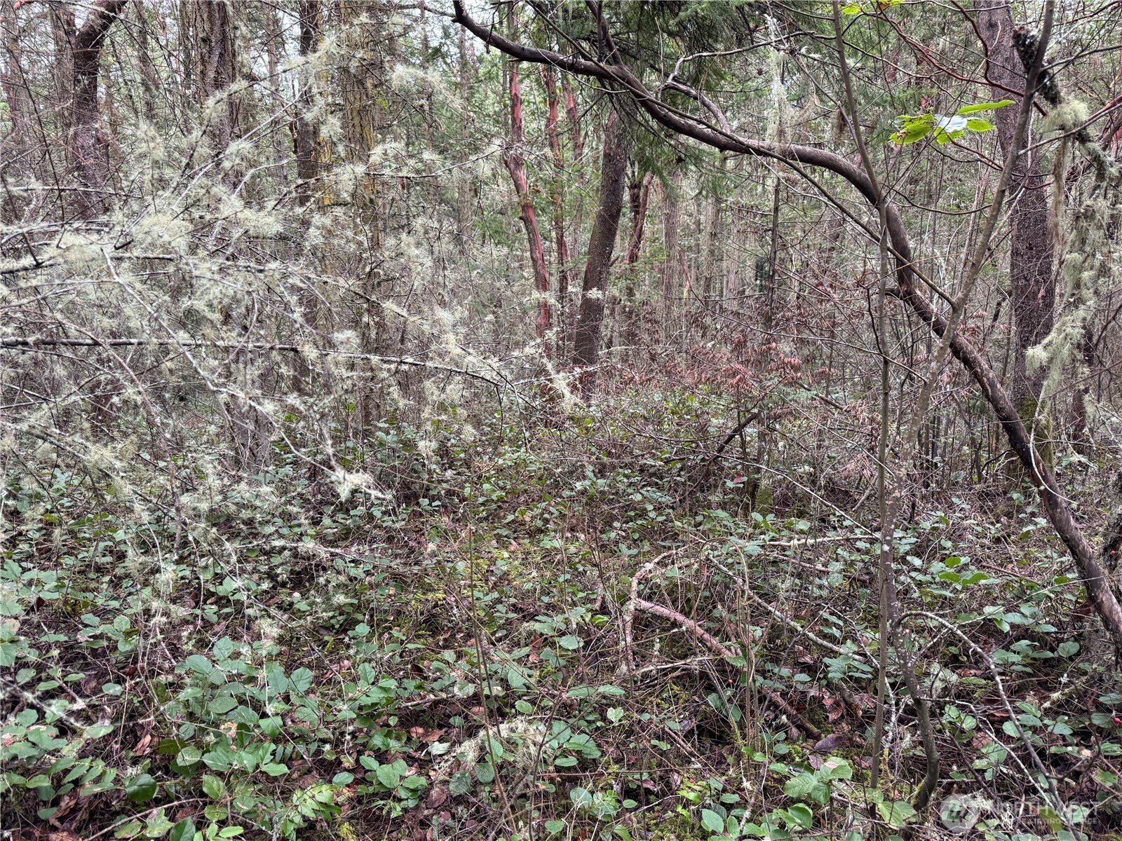 99 Nka Peary Avenue Property Photo