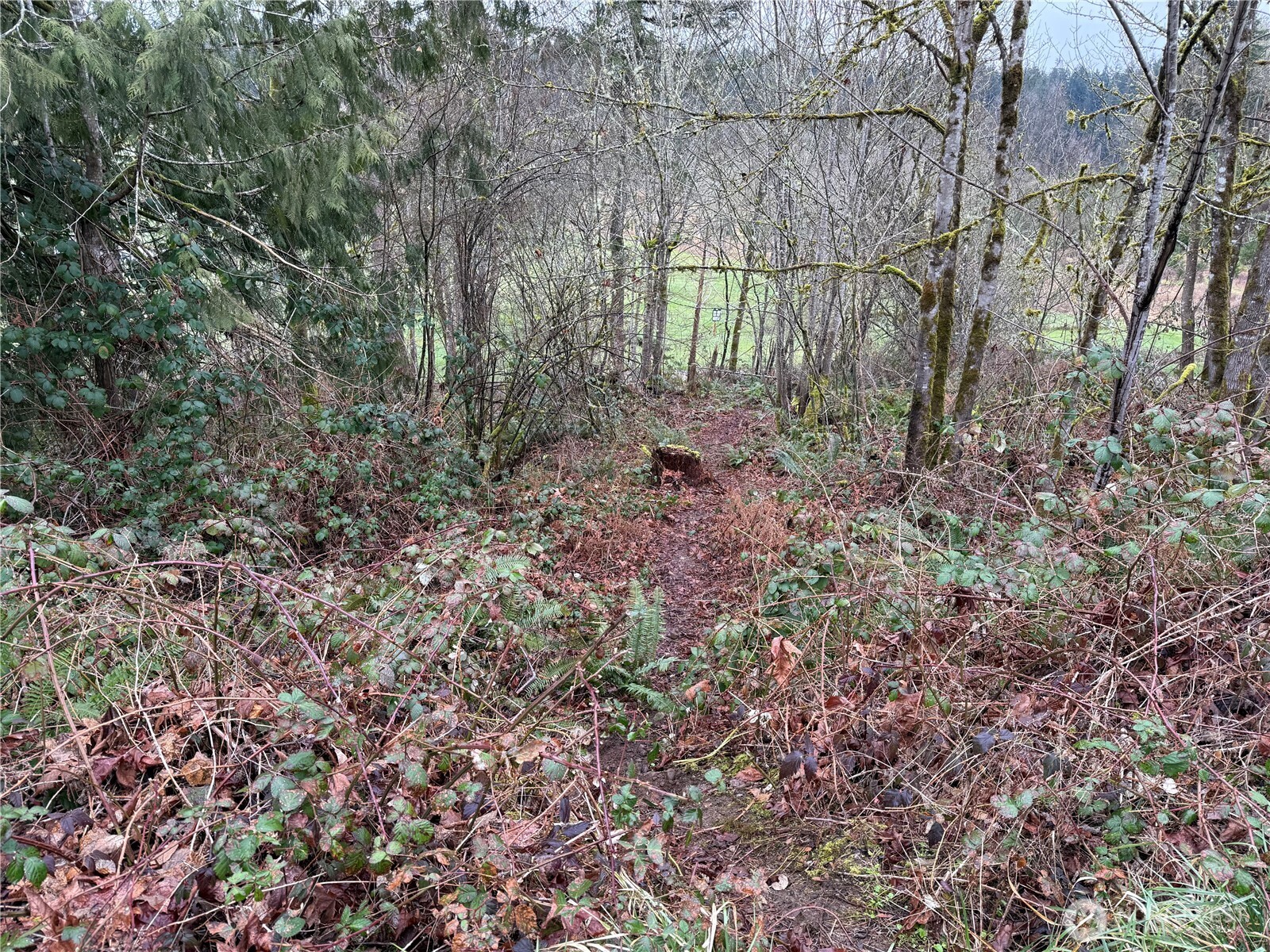 12230 Fairway Drive Property Photo 3