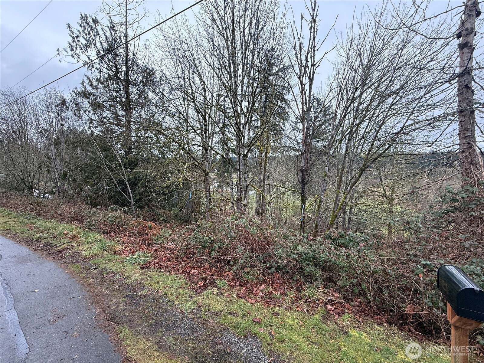 12230 Fairway Drive Property Photo 4