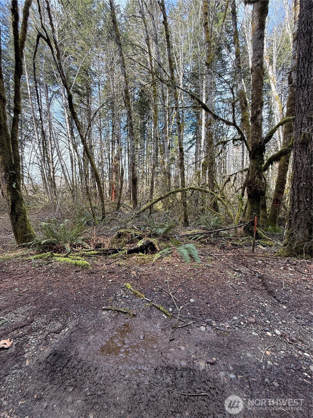 0 Xxxx Ne Beitzel Drive Property Photo 3
