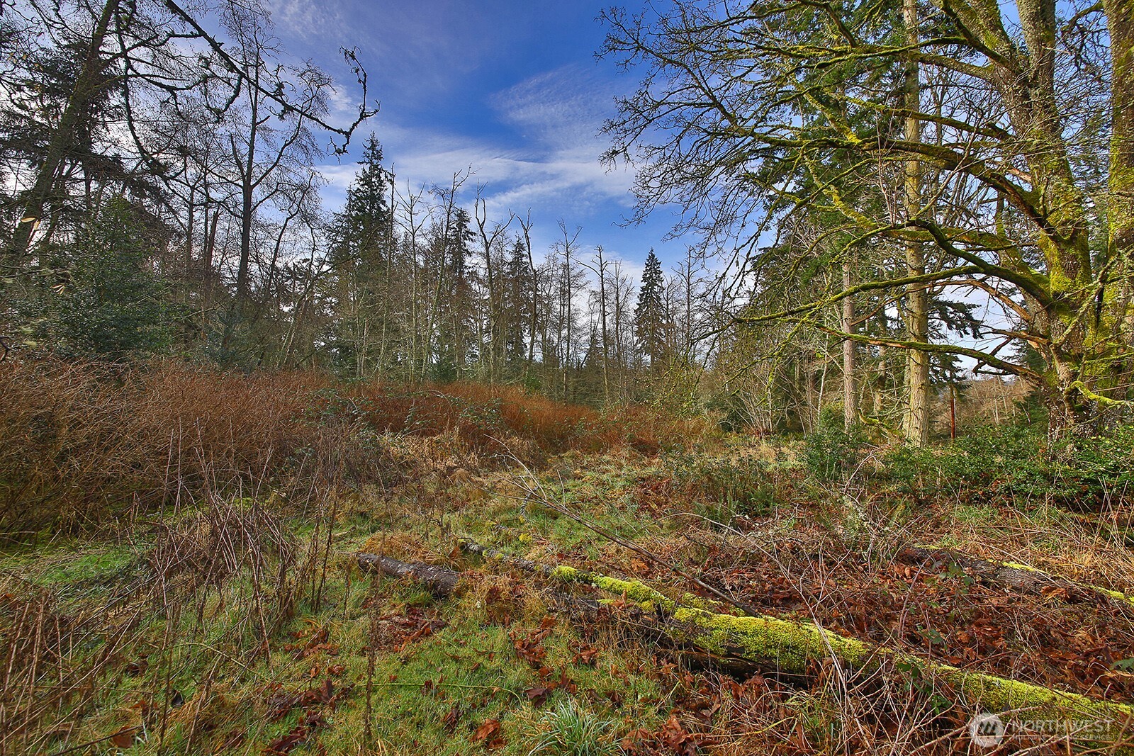 0 Goss Lake Road Property Photo