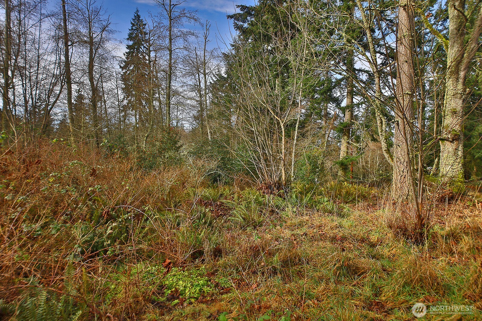 0 Goss Lake Road Property Photo 2