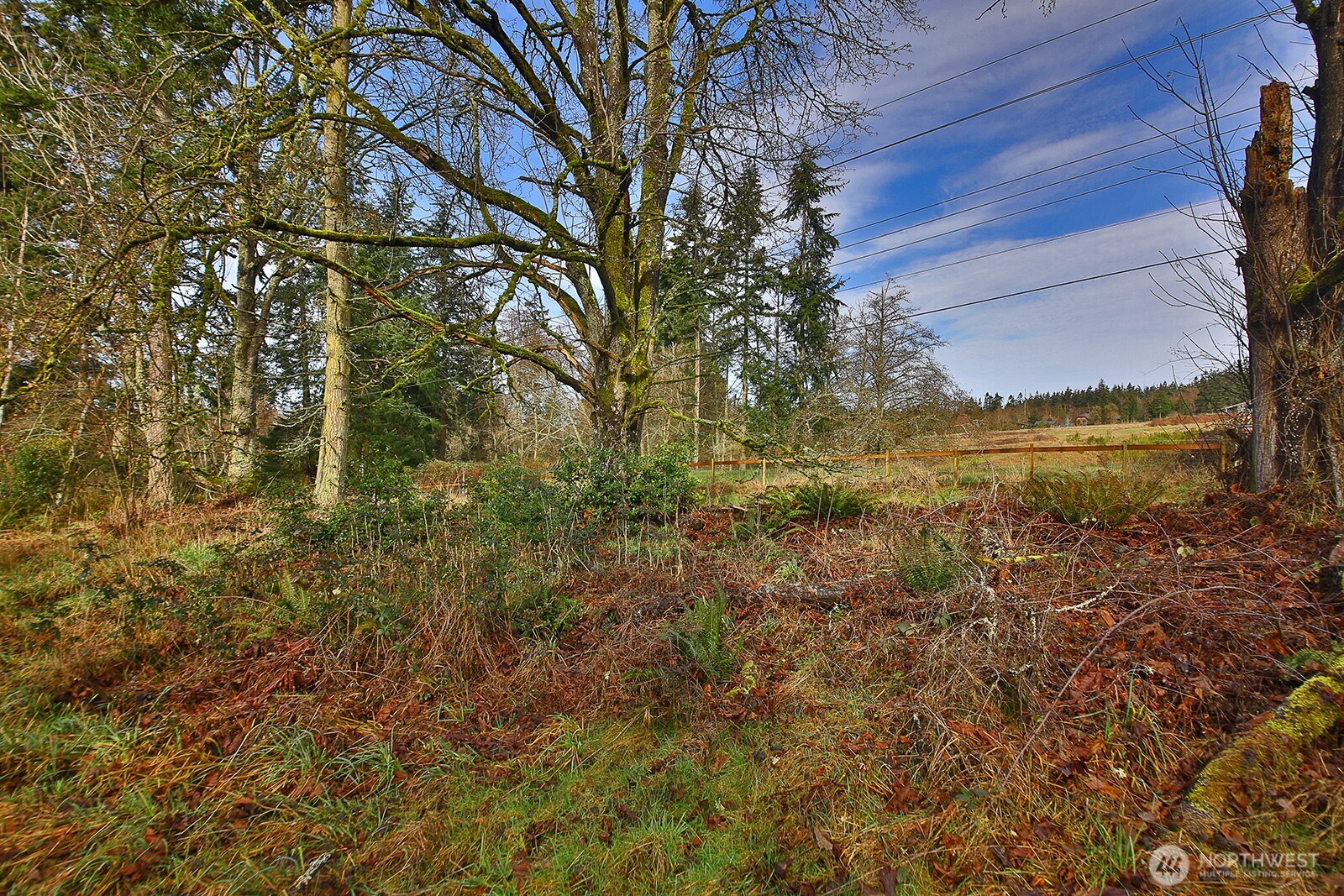 0 Goss Lake Road Property Photo 3