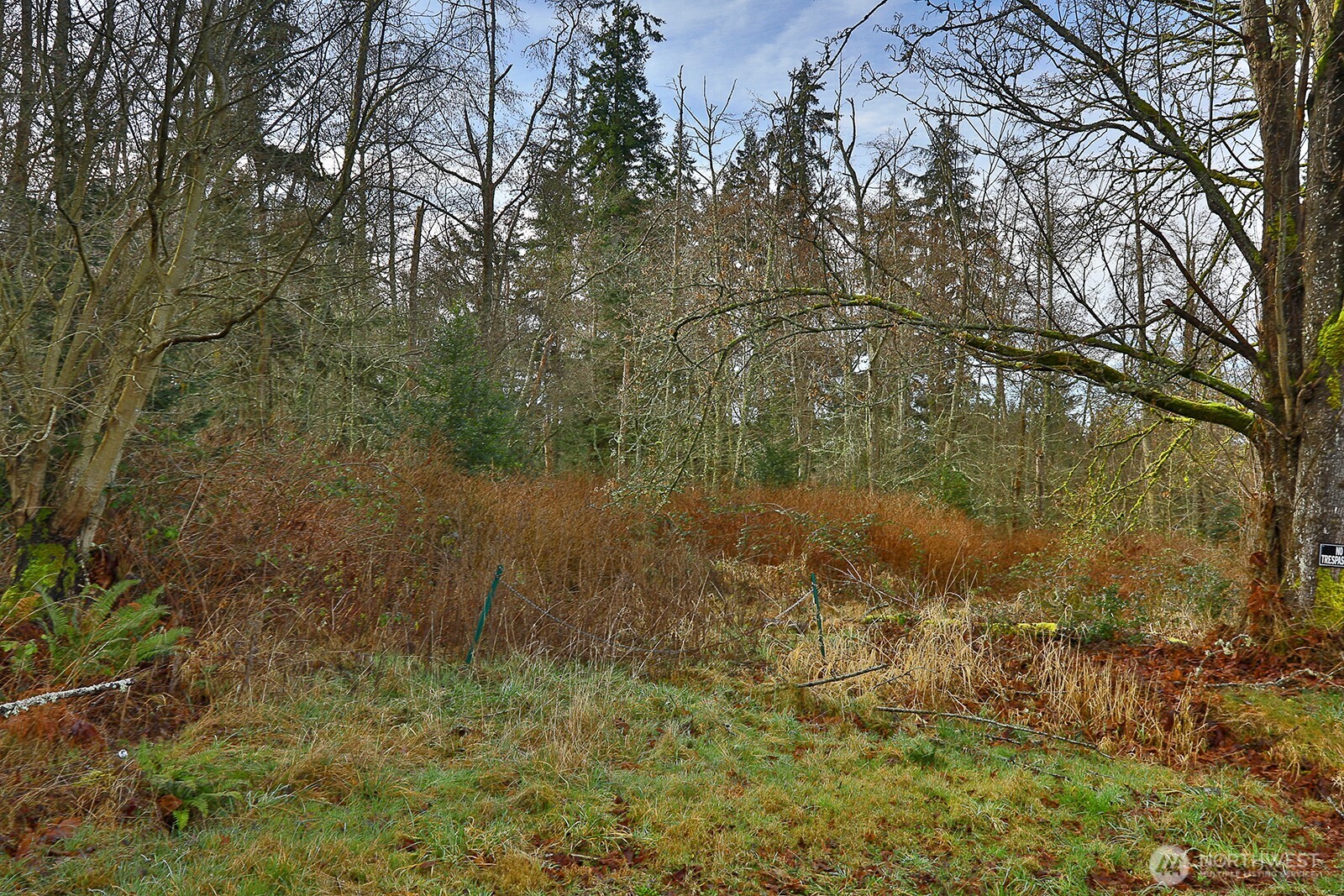 0 Goss Lake Road Property Photo 4