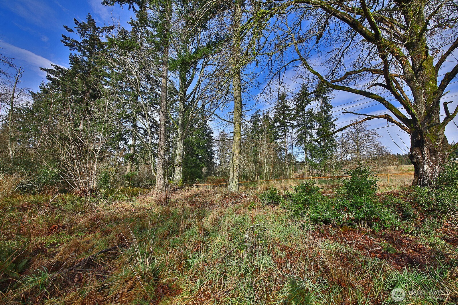 0 Goss Lake Road Property Photo 6