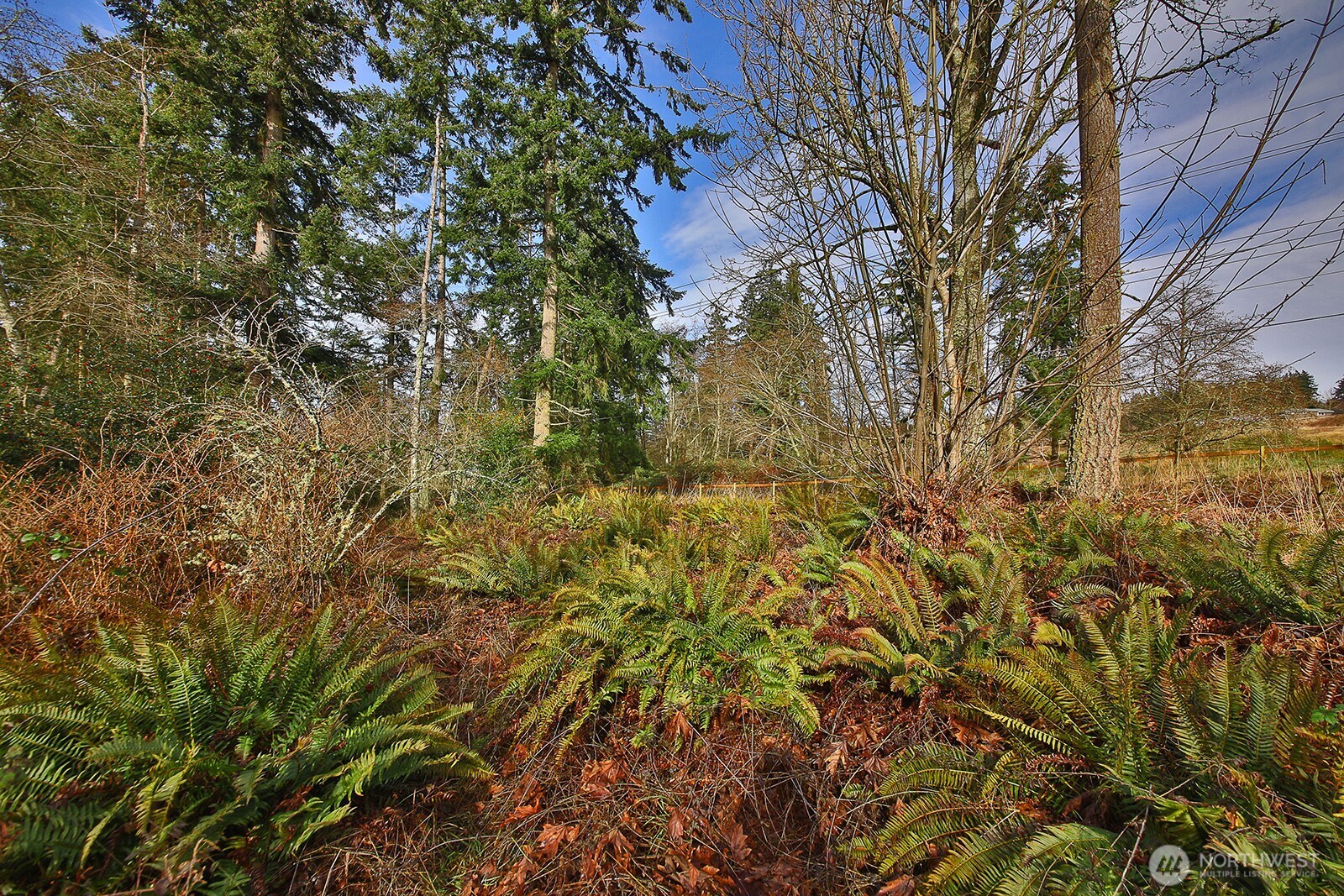 0 Goss Lake Road Property Photo 7