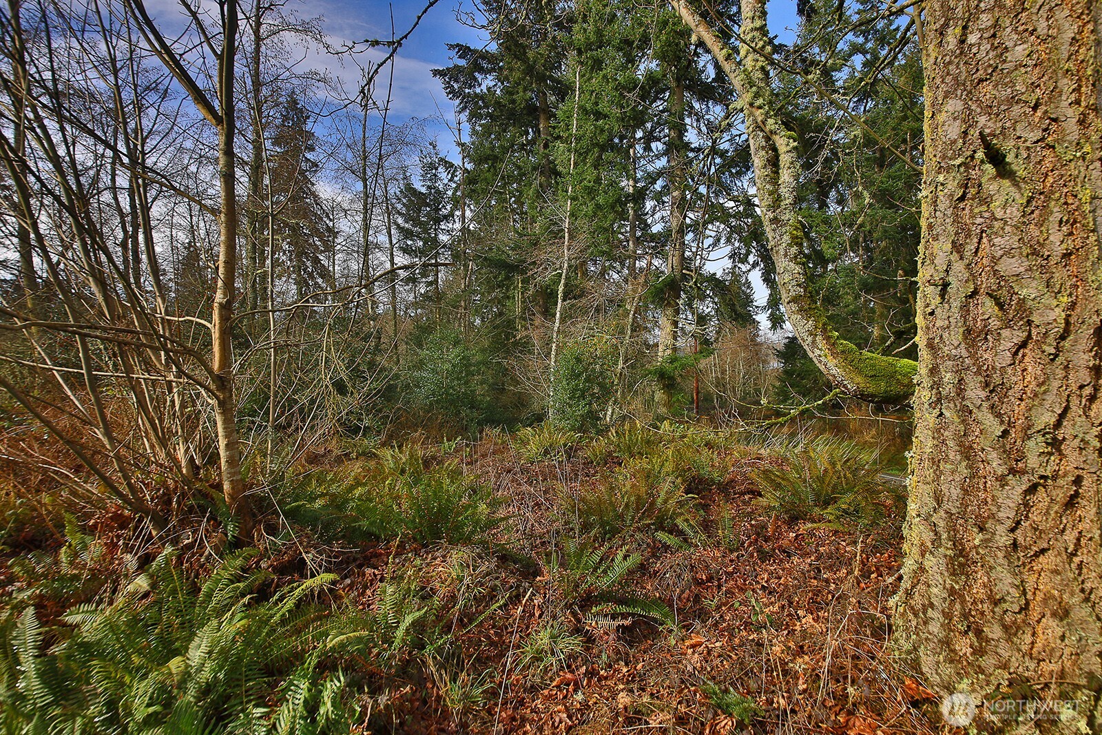 0 Goss Lake Road Property Photo 8