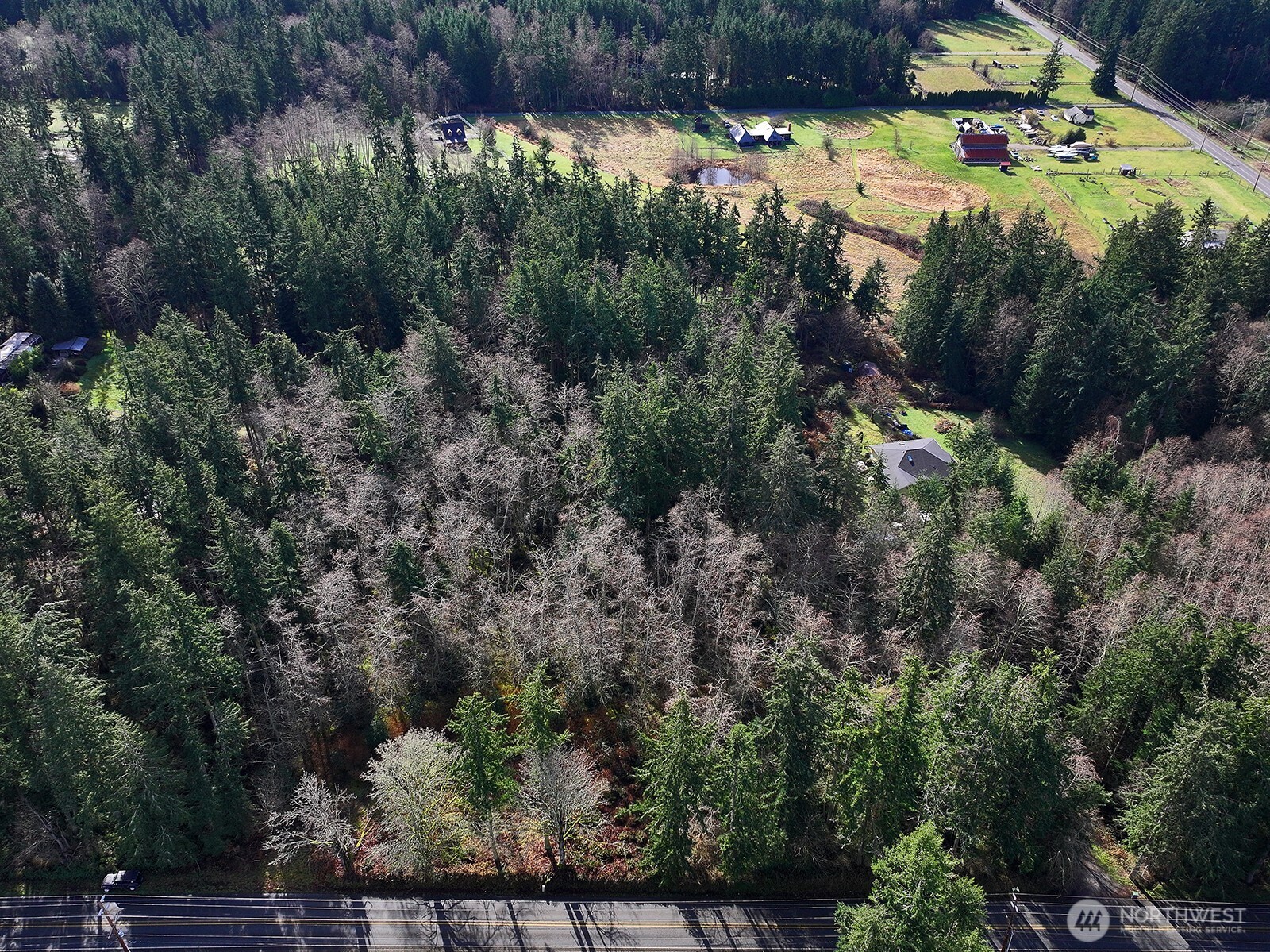 0 Goss Lake Road Property Photo 10
