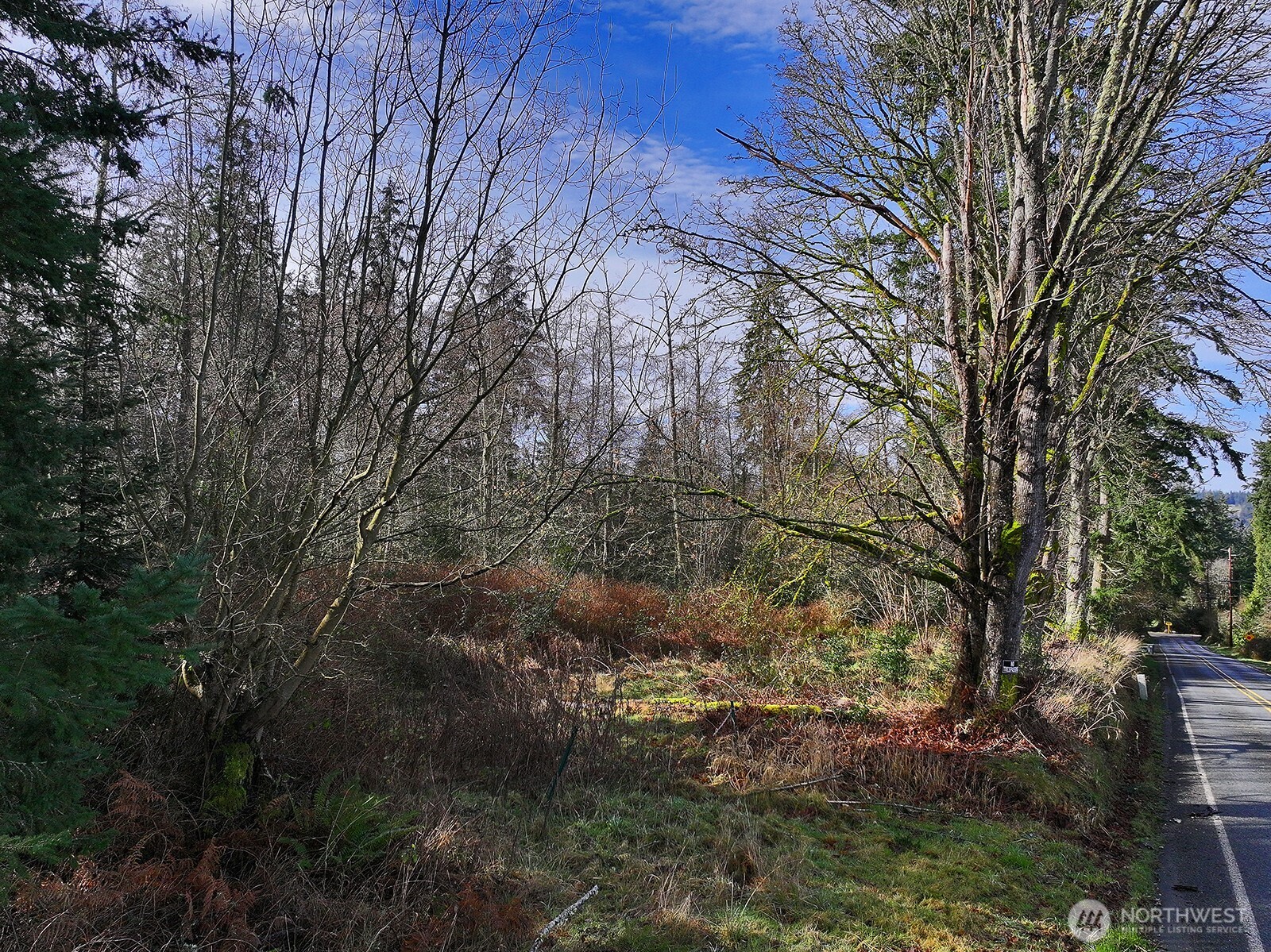 0 Goss Lake Road Property Photo 12