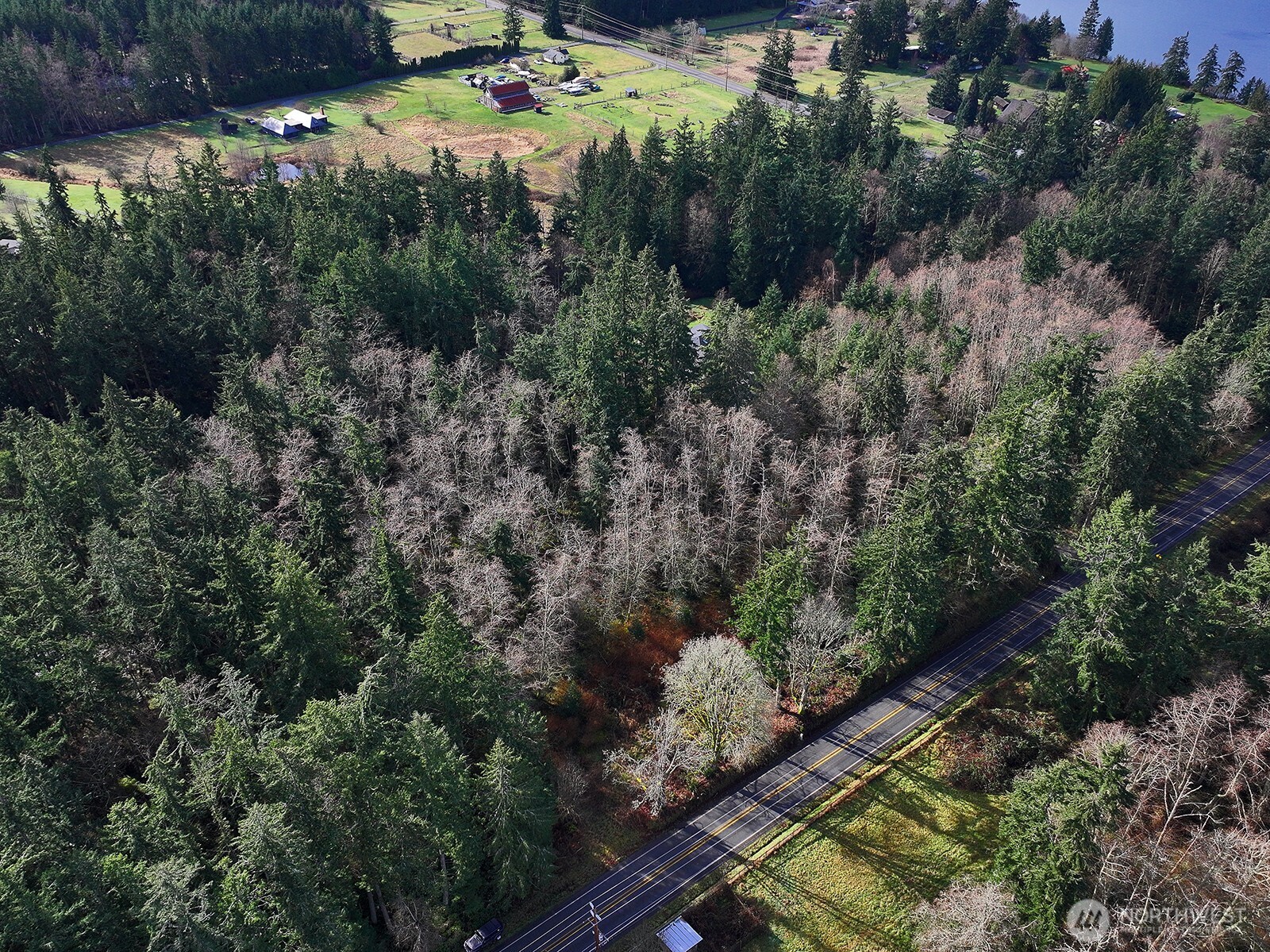 0 Goss Lake Road Property Photo 13