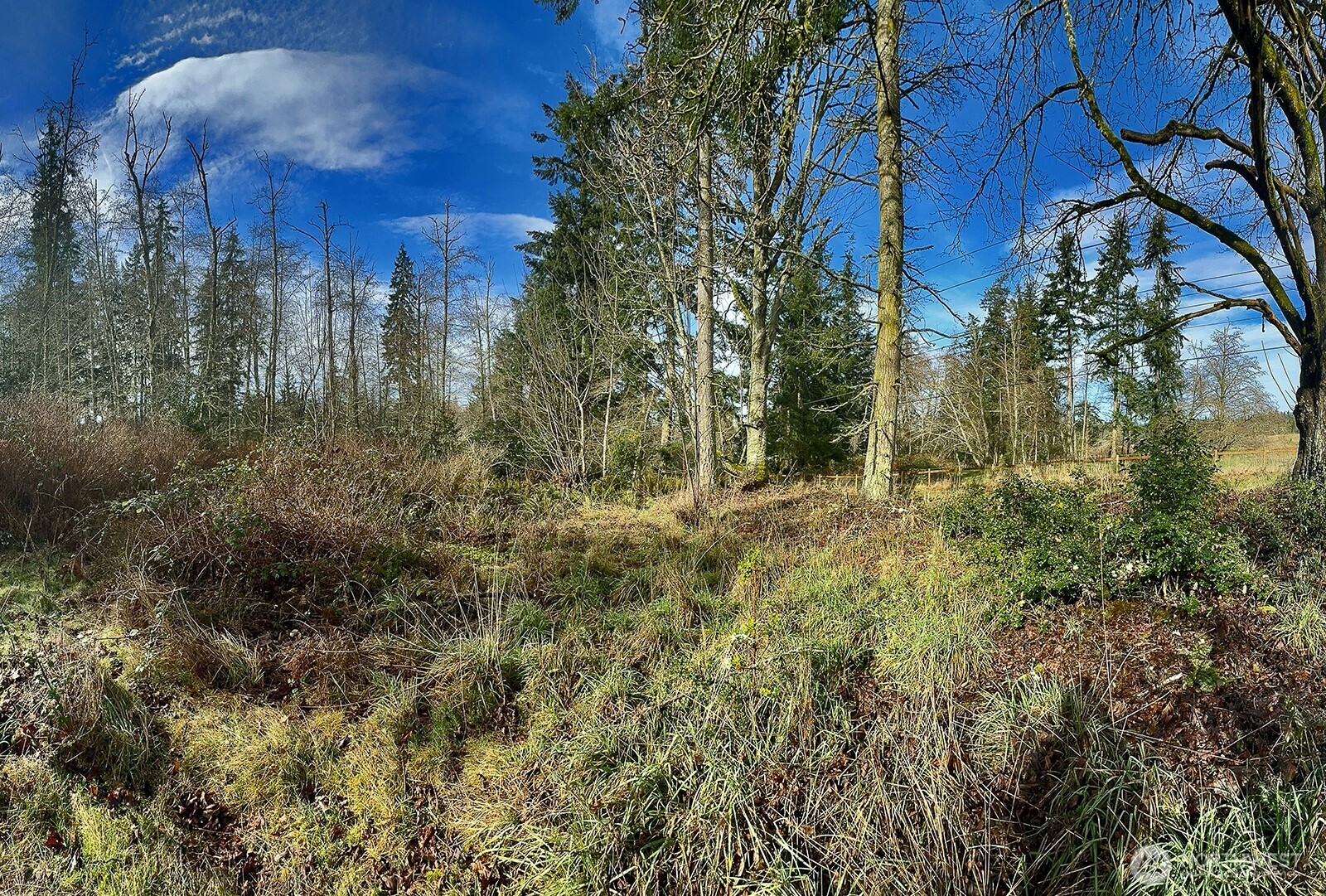 0 Goss Lake Road Property Photo 17