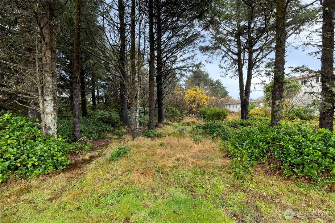 880 Ocean Shores Boulevard Property Photo 2
