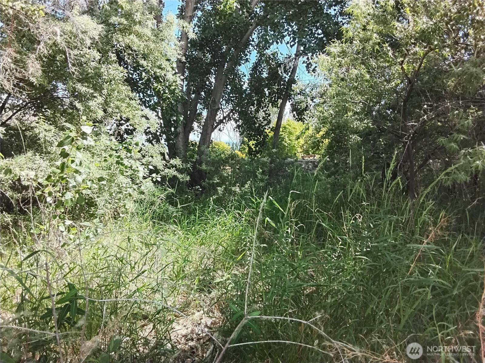 23 Champerty Road Property Photo 12