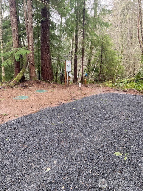 61 N Duckabush Drive Property Photo 2