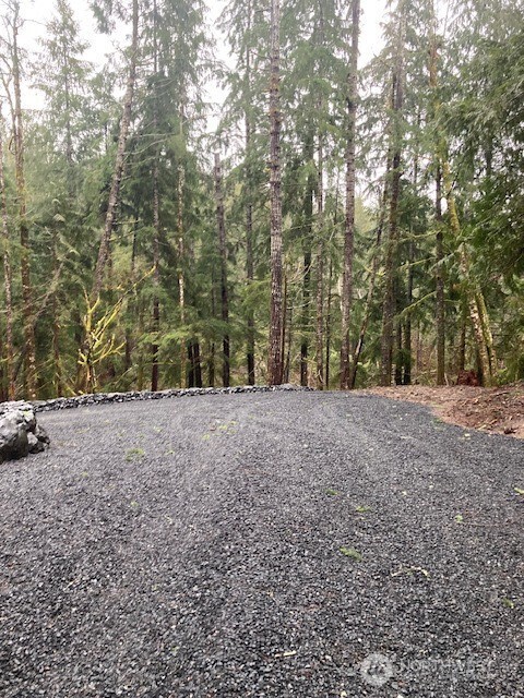 61 N Duckabush Drive Property Photo 3