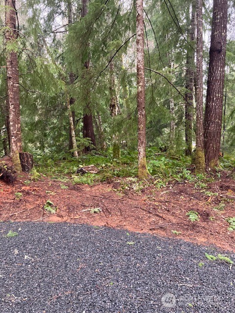 61 N Duckabush Drive Property Photo 5