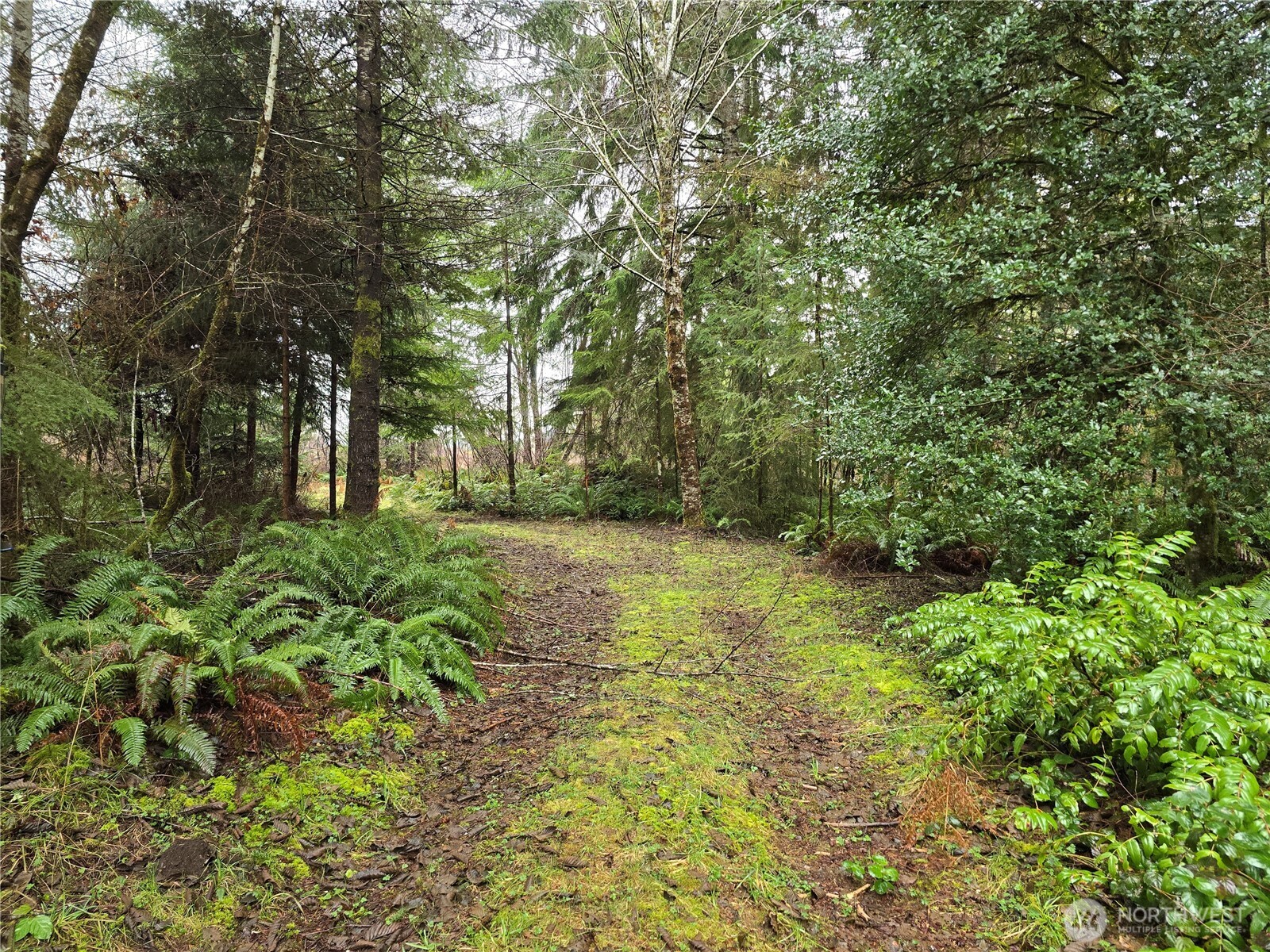 0 Lot 1&2 W Elk Hill Road Property Photo 2