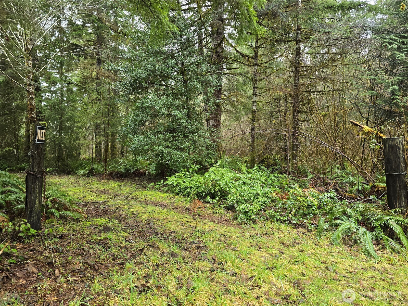 0 Lot 1&2 W Elk Hill Road Property Photo 3
