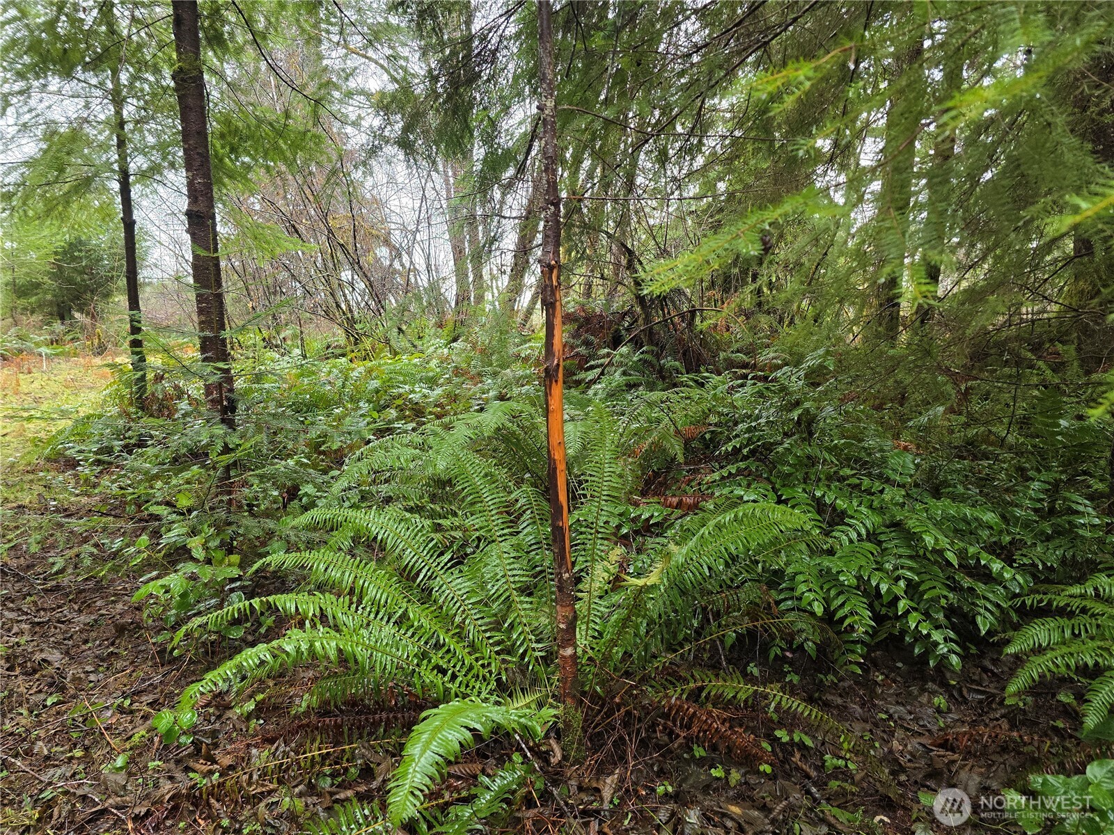 0 Lot 1&2 W Elk Hill Road Property Photo 4