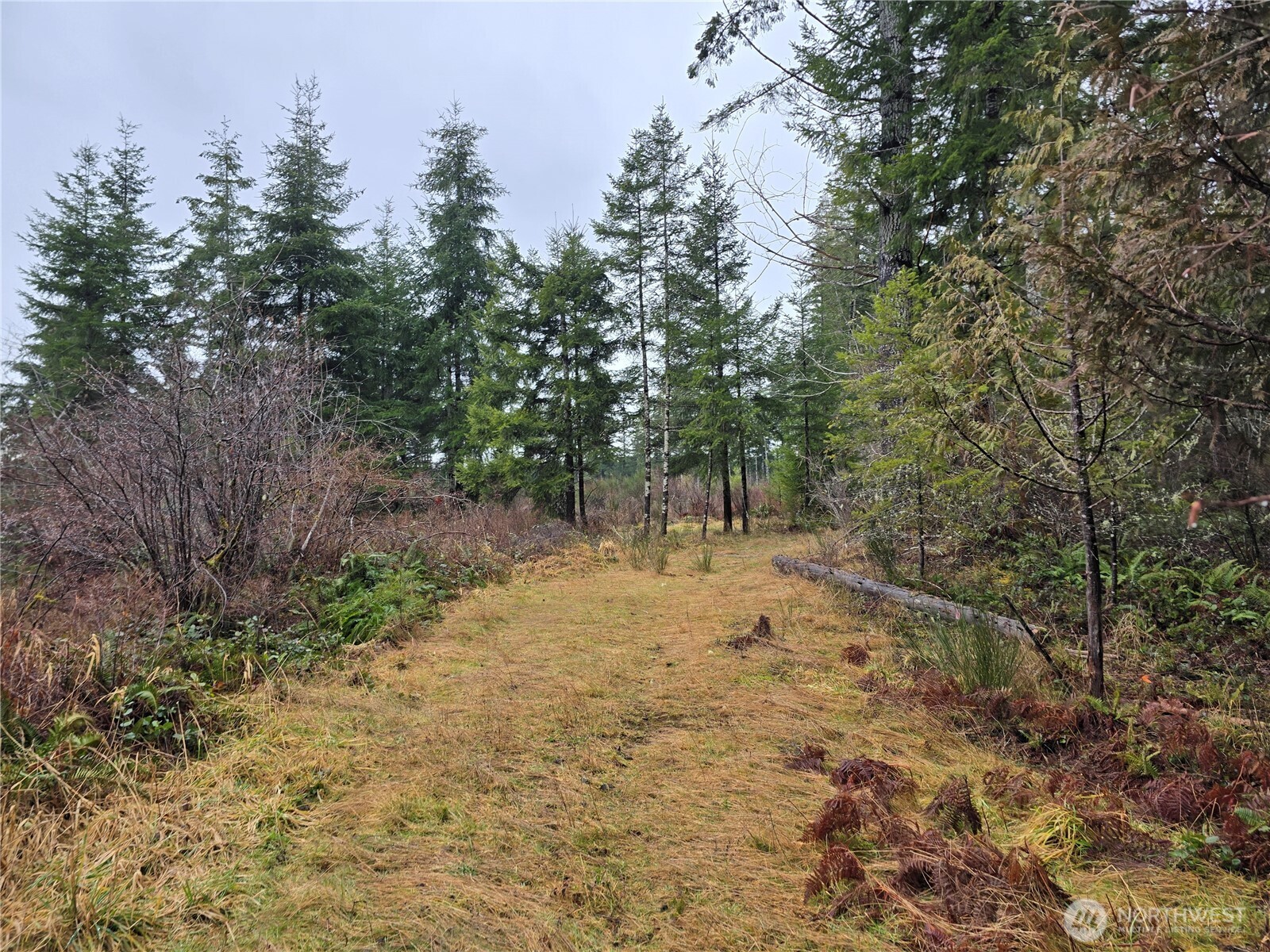 0 Lot 1&2 W Elk Hill Road Property Photo 5