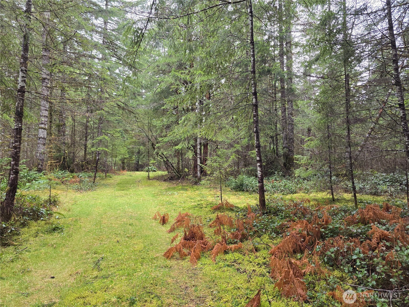 0 Lot 1&2 W Elk Hill Road Property Photo 6