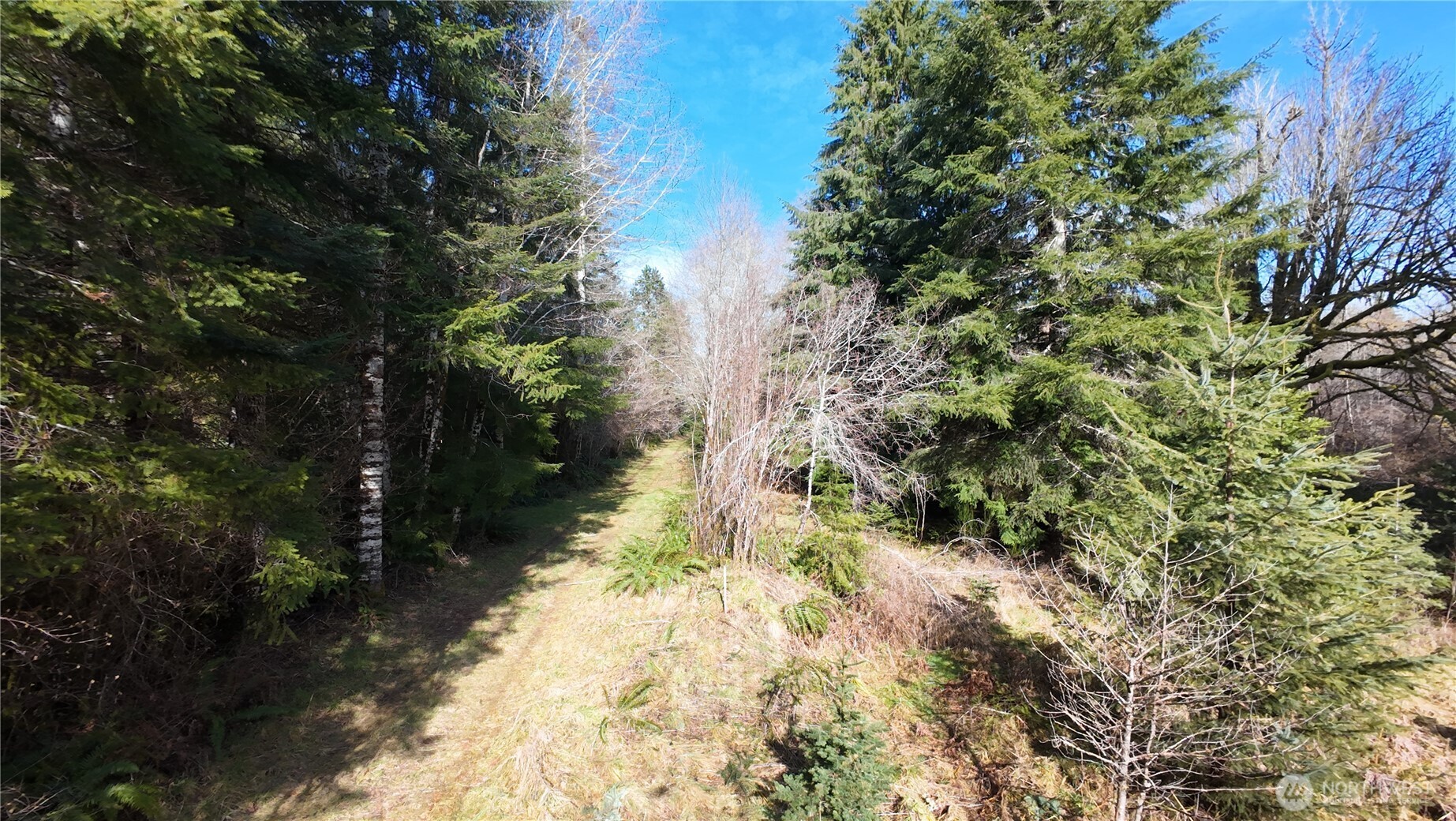0 Lot 1&2 W Elk Hill Road Property Photo 9