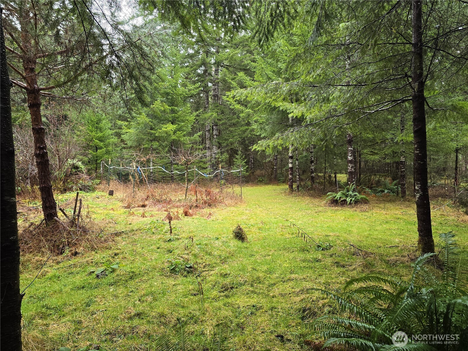 0 Lot 1&2 W Elk Hill Road Property Photo 10