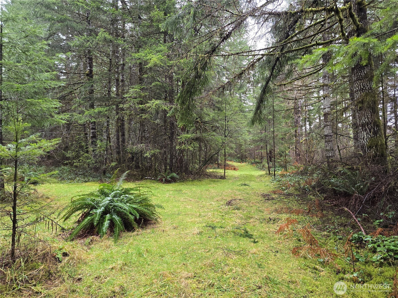 0 Lot 1&2 W Elk Hill Road Property Photo 11