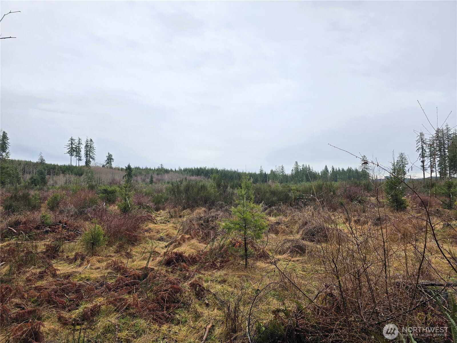 0 Lot 1&2 W Elk Hill Road Property Photo 13
