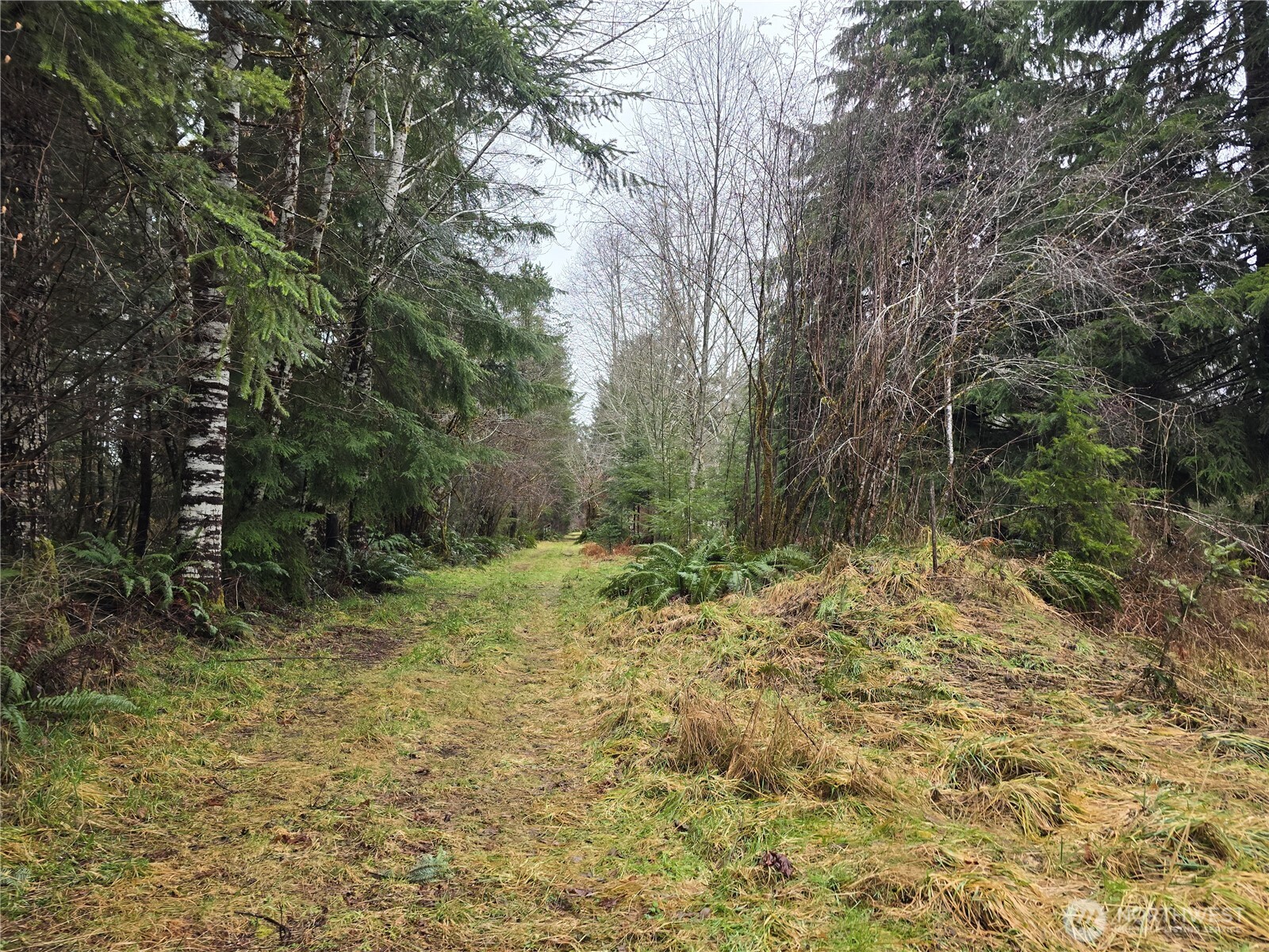 261 W Elk Hill Road Property Photo 2
