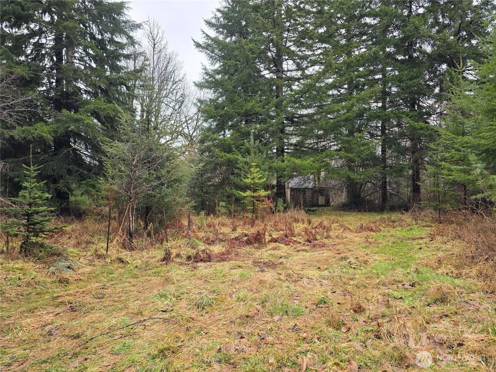 261 W Elk Hill Road Property Photo 3